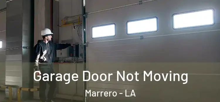  Garage Door Not Moving Marrero - LA